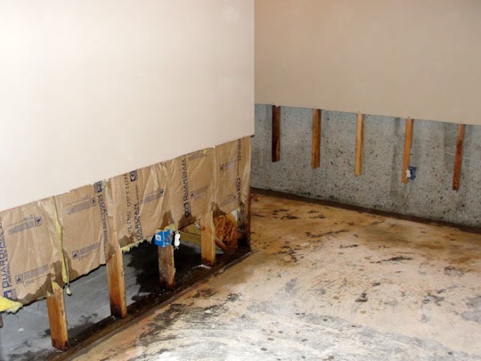 Mold Removal Specialists