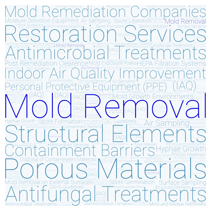 Mold Removal Crawl Space